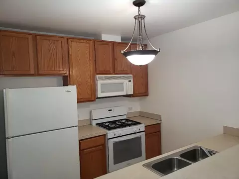 1033 E 46th St #101, Chicago, IL 60653 photo 8
