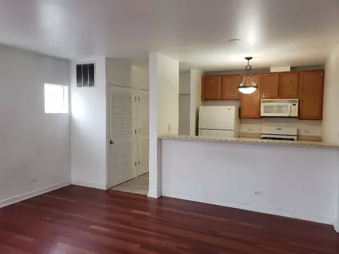 1033 E 46th St #101, Chicago, IL 60653 photo 7