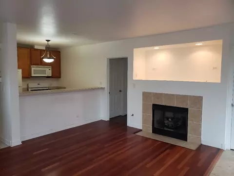 1033 E 46th St #101, Chicago, IL 60653 photo 6