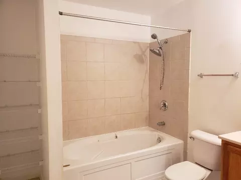 1033 E 46th St #101, Chicago, IL 60653 photo 10