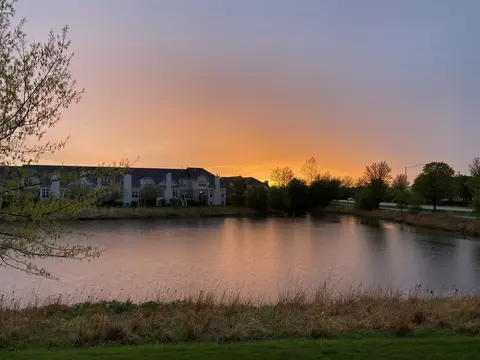 11976 Winterberry Ln, Plainfield, IL 60585 photo 22