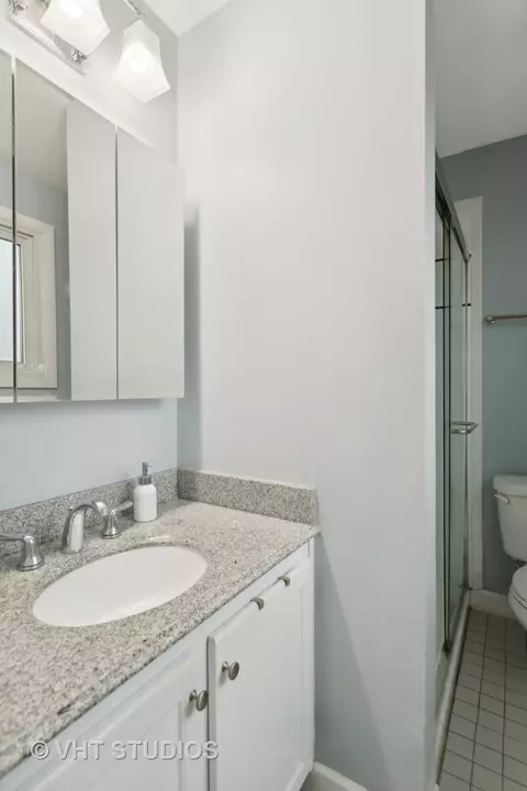 1503 Darwin Ln, Wheaton, IL 60189 photo 15