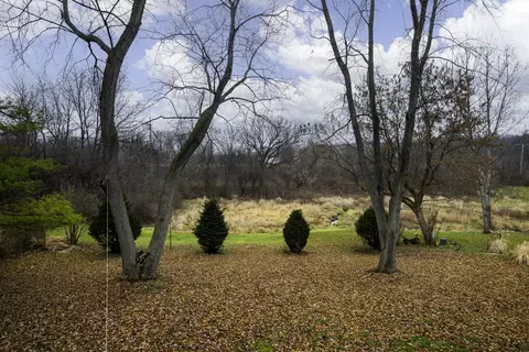 1119 Hidden Spring Dr, Naperville, IL 60540 photo 39