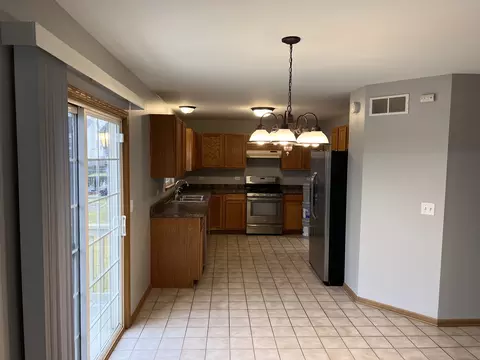 25838 S Geranium Ln, Monee, IL 60449 photo 5