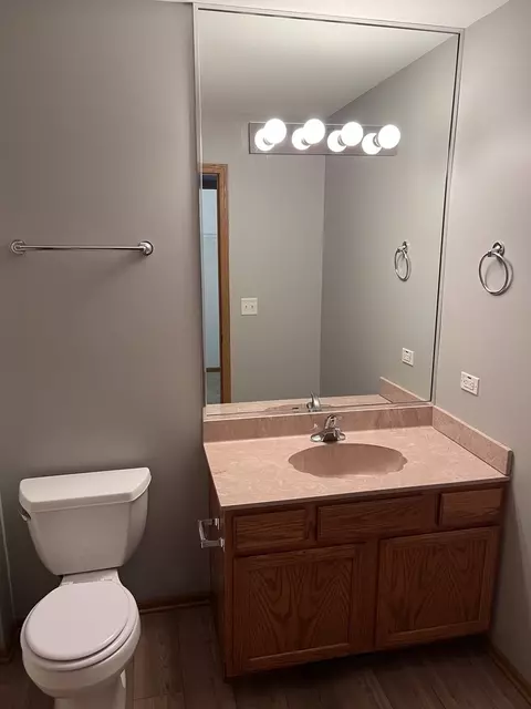 25838 S Geranium Ln, Monee, IL 60449 photo 15