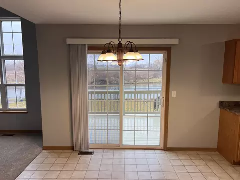 25838 S Geranium Ln, Monee, IL 60449 photo 4
