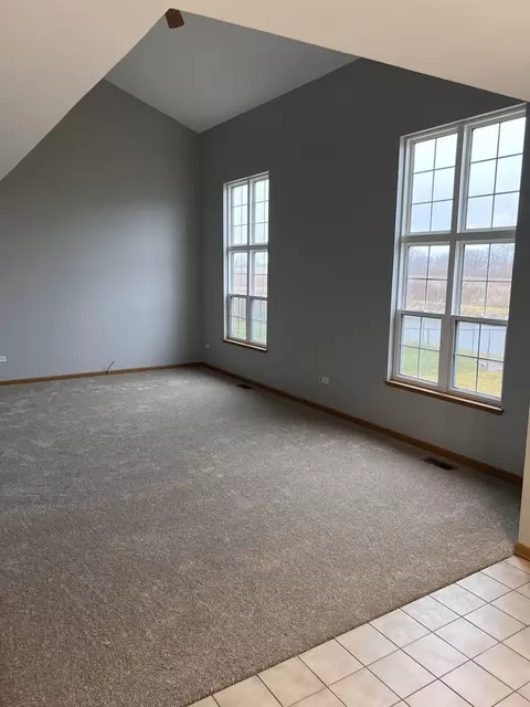 25838 S Geranium Ln, Monee, IL 60449 photo 3