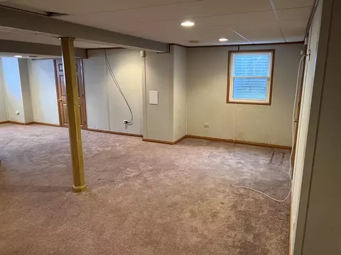 25838 S Geranium Ln, Monee, IL 60449 photo 18