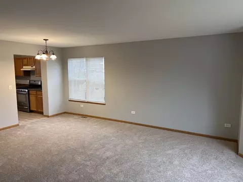 25838 S Geranium Ln, Monee, IL 60449 photo 9