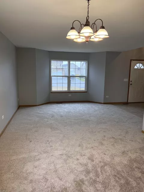 25838 S Geranium Ln, Monee, IL 60449 photo 8