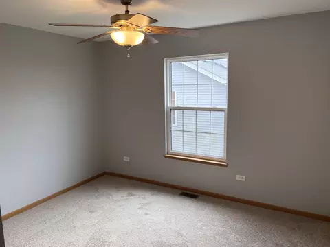 25838 S Geranium Ln, Monee, IL 60449 photo 17