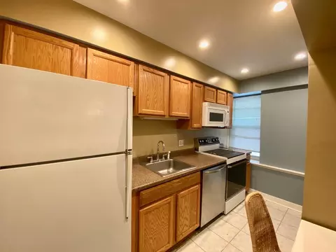 40 E 9th St #612, Chicago, IL 60605 photo 7