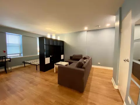 40 E 9th St #612, Chicago, IL 60605 photo 4