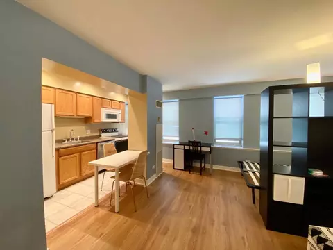 40 E 9th St #612, Chicago, IL 60605 photo 5