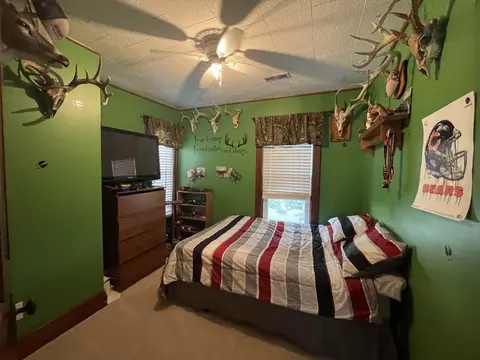 204 S Locust St, Sublette, IL 61367 photo 12
