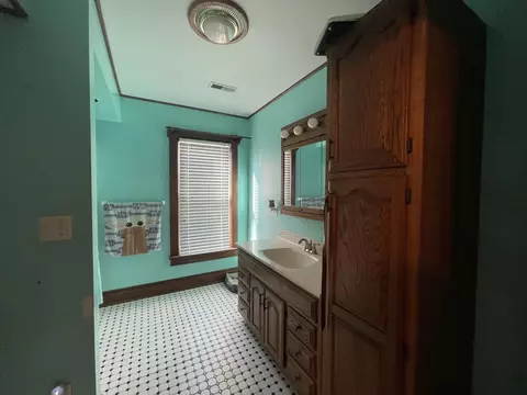204 S Locust St, Sublette, IL 61367 photo 14
