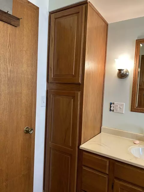 Bath - 310 4th St, Mendota, IL 61342 photo 4 of 6