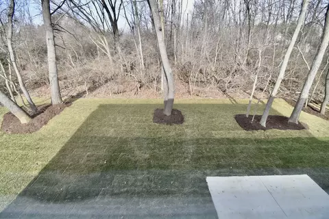 106 Dugan Trl, Downs, IL 61736 photo 38