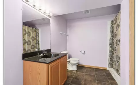 Bath - 14936 Albany Ave, Markham, IL 60428 photo 2 of 2