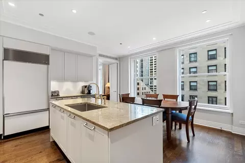 159 E Walton Pl #7A, Chicago, IL 60611 photo 12