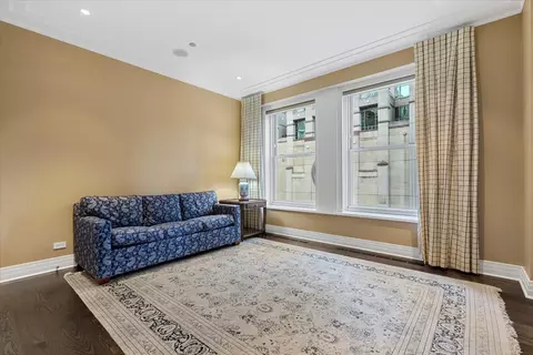 159 E Walton Pl #7A, Chicago, IL 60611 photo 26