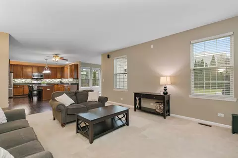 455 E Amberside Dr, Elgin, IL 60124 photo 14