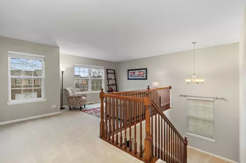 455 E Amberside Dr, Elgin, IL 60124 photo 21