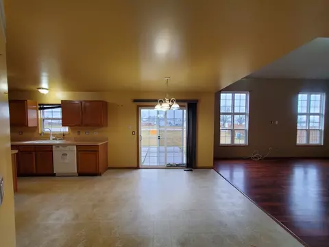 25740 S Iris Ct, Monee, IL 60449 photo 9