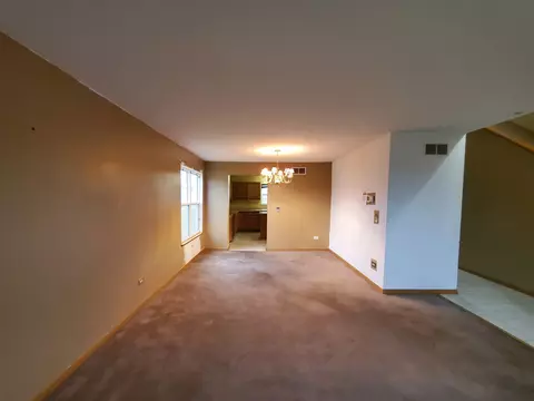 25740 S Iris Ct, Monee, IL 60449 photo 5