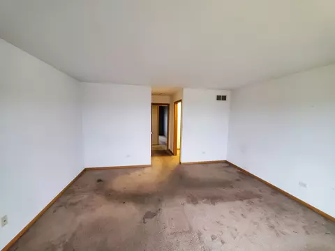 25740 S Iris Ct, Monee, IL 60449 photo 20