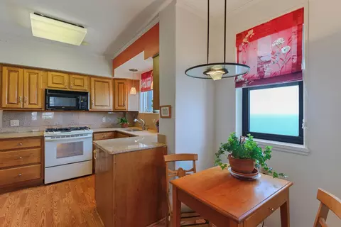 2666 E 73rd St #8E, Chicago, IL 60649 photo 16