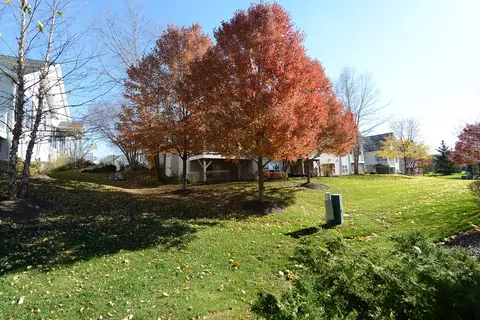 1056 Riviera Dr, Elgin, IL 60124 photo 2
