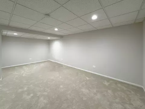 4567 Opal Dr, Hoffman Estates, IL 60192 photo 9