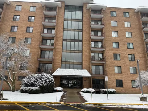 1717 W Crystal Ln #409, Mount Prospect, IL 60056