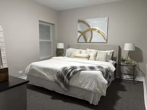4236 S Champlain Ave, Chicago, IL 60653 photo 13