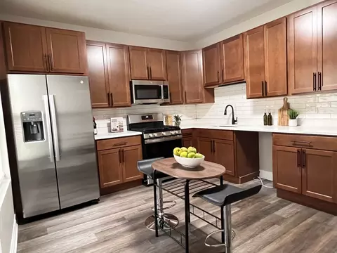 4236 S Champlain Ave, Chicago, IL 60653 photo 21