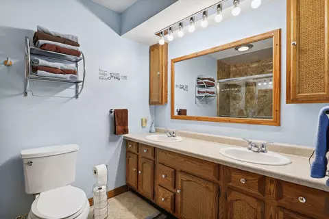 204 E Maple St, Ogden, IL 61859 photo 19