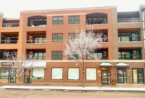 18 S Fairview Ave #2S, Park Ridge, IL 60068