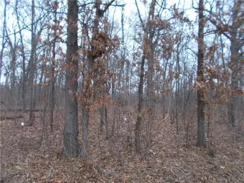 1250 1400 East Rd, Shelbyville, IL 62565