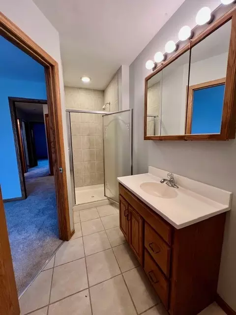 4003 Marble Ct, Aurora, IL 60504 photo 16