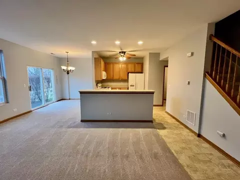 4003 Marble Ct, Aurora, IL 60504 photo 3