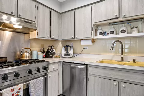 1285 E Washington St #4, Des Plaines, IL 60016 photo 16