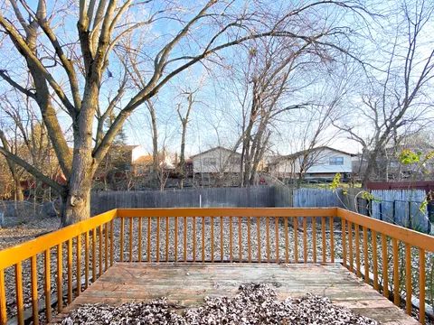 809 Rose Ln, Matteson, IL 60443 photo 24