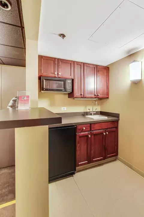 25 E Superior St #2702, Chicago, IL 60611 photo 28