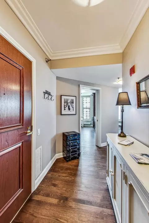 25 E Superior St #2702, Chicago, IL 60611 photo 12