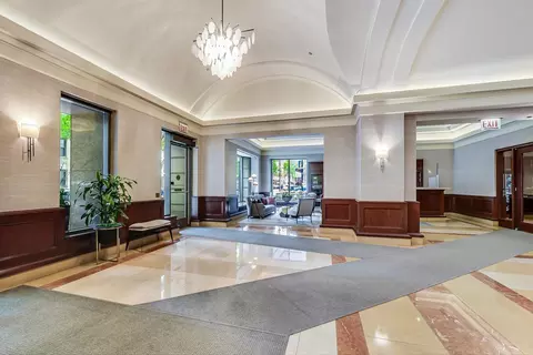 25 E Superior St #2702, Chicago, IL 60611 photo 41