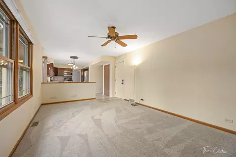 Other - 596 Shenandoah Trl, Elgin, IL 60123 photo 6 of 15