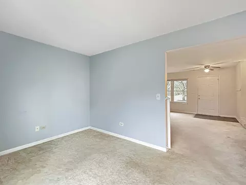 43 Willow Cir, Cary, IL 60013 photo 10