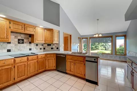 21 Rodeo Dr, Burr Ridge, IL 60527 photo 7
