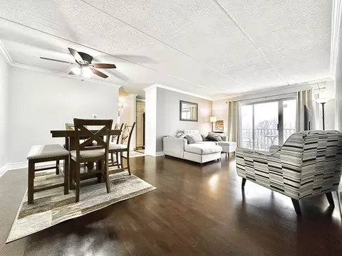 573 Fairway View Dr #3B, Wheeling, IL 60090 photo 3